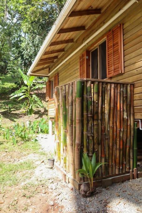 Jungle Beach 2 Bedroom Cottage Bocas del Toro Exterior photo
